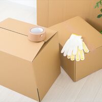 画像1377